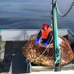 Meet your Posher, Antony